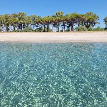 Dimoria 3*